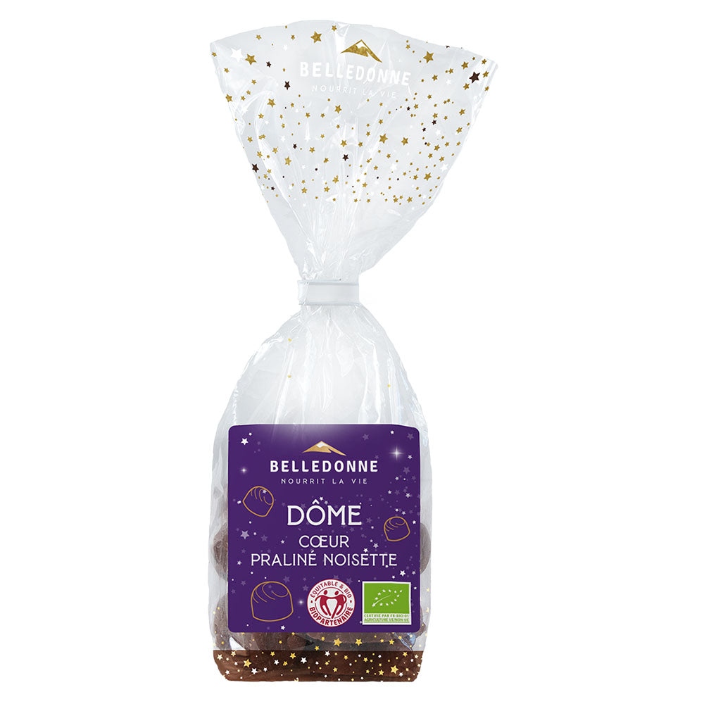 Bonbon dôme praliné noisette choc noir 74 % bio - 1