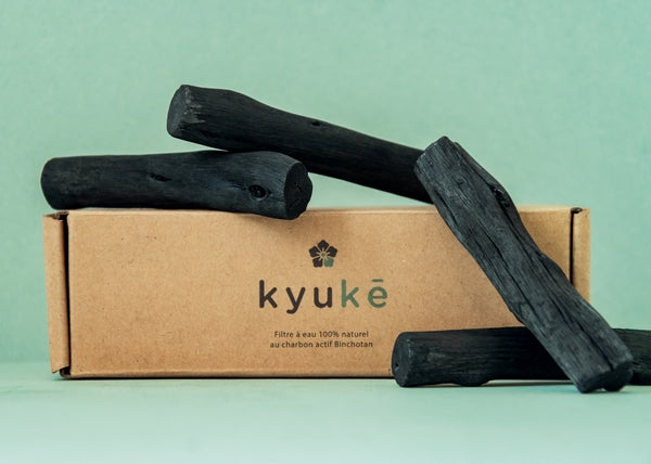 Charbon actif Binchotan s pour carafe 1l - 1